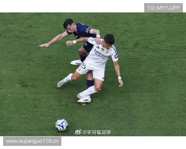 居莱尔未来上限如何